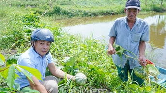 Làm nông như ông Võ Thành Quốc