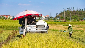 Ngành Nông nghiệp và Môi trường xác định 4 đột phá chiến lược