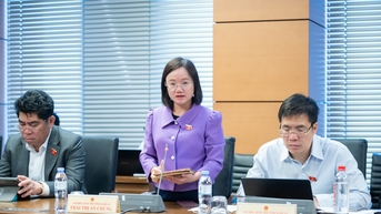 Thúc đẩy phát triển thương mại điện tử xanh, bền vững