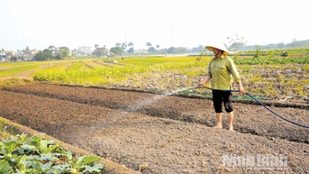 Dồn sức cho vụ đông, nỗ lực lấy lại nhịp sản xuất