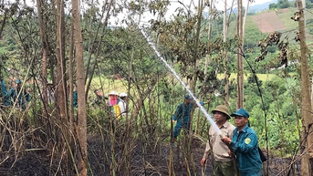 Phát huy vai trò then chốt của cơ sở phòng cháy, chữa cháy rừng