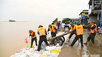 Bộ CHQS TP Đà Nẵng triển khai các biện pháp ứng phó bão số 13