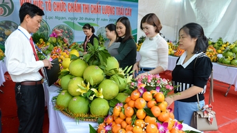 Lễ hội trái cây Bắc Ninh 2025 diễn ra từ ngày 5 đến 10/12/2025