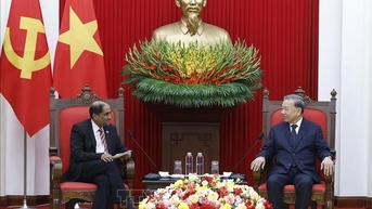 Tổng Bí thư Tô Lâm tiếp Đại sứ Singapore tại Việt Nam