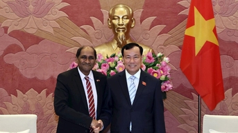 Chủ nhiệm Ủy ban Quốc phòng, An ninh và Đối ngoại, Thượng tướng Lê Tấn Tới tiếp Đại sứ Singapore tại Việt Nam