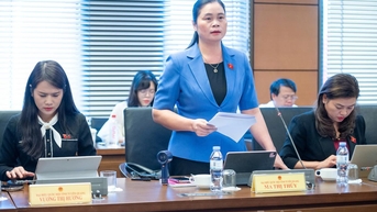 Cần quy định rõ trách nhiệm pháp lý của chủ sở hữu nền tảng thương mại điện tử