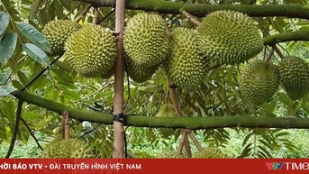 EU giảm 50% số lượng cảnh báo đối với nông sản Việt