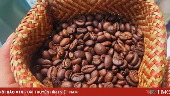 Cà phê Việt Nam hướng đến giá trị bền vững nhờ chế biến sâu