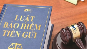 Luật hóa hoạt động kiểm tra tổ chức tham gia bảo hiểm tiền gửi theo kế hoạch, nội dung do Ngân hàng Nhà nước giao