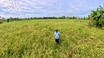 Đại học Quốc gia TP Hồ Chí Minh góp phần xây dựng ĐBSCL phát triển bền vững, thích ứng biến đổi khí hậu