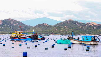 Siết chặt quản lý tàu cá dưới 6m