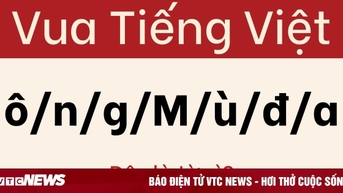 Đừng để câu đố này đánh lừa bạn