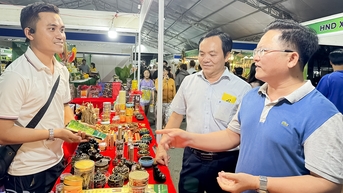 Trồng dó bầu tạo trầm thuận theo tự nhiên