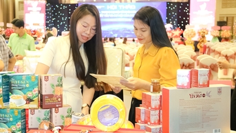 Cải thiện môi trường kinh doanh thúc đẩy kinh tế phát triển