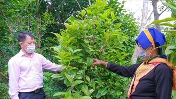 Quang Ninh - គំរូនៃការកាត់បន្ថយភាពក្រីក្រប្រកបដោយនិរន្តរភាព