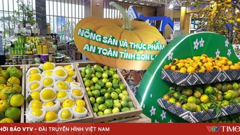 ពិព័រណ៍សរទរដូវឆ្នាំ 2025៖ ជាស្ពាននាំកសិផលវៀតណាមដណ្តើមទីផ្សារក្នុងស្រុក និងបរទេស