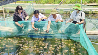 Nông nghiệp hàng hóa mở hướng phát triển kinh tế Nhã Nam