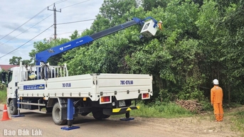 Ngành Điện chủ động ứng phó với bão số 13