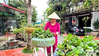 Chung tay xây dựng môi trường sống xanh - sạch - đẹp