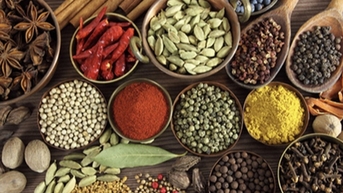 Hiện đại hóa y dược cổ truyền nhưng phải giữ hồn cốt dân tộc