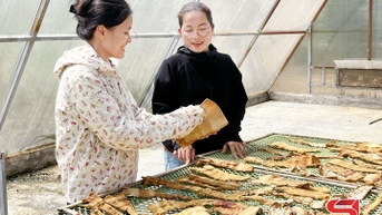 Phụ nữ Xuân Nha thi đua phát triển kinh tế