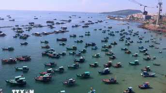 Gỡ 'thẻ vàng' IUU: Các địa phương vào cuộc quyết liệt vì uy tín đất nước