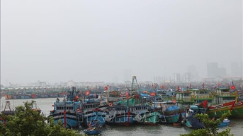 Kiểm đếm, quản lý chặt tàu thuyền ra khơi trong vùng nguy hiểm của bão KALMAEGI