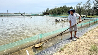 Hướng đi mới cho sinh kế ngư dân Việt Nam
