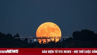 Đón siêu trăng vàng lớn nhất và sáng nhất năm trong tháng 11
