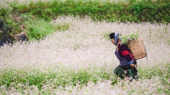 Tên gọi Mã Pì Lèng có nghĩa gì?