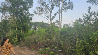 Phú Quốc: Phấn đấu giải quyết xong hồ sơ cấp giấy chứng nhận quyền sử dụng đất tồn đọng trong năm 2025