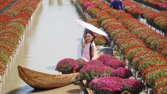 Đồng Tháp: Đất sen hồng kích cầu du lịch, thu hút khách dịp cao điểm