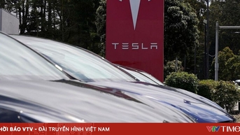 Doanh số bán xe của Tesla giảm mạnh tại nhiều thị trường châu Âu