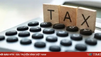 Thuế khoán và thuế kê khai khác nhau thế nào?