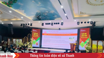 Hội thảo “Giải pháp nâng cao hiệu quả chuỗi giá trị sản xuất sắn bền vững”.