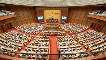 Xử lý ngay 20 'điểm nghẽn' pháp luật về nông nghiệp và môi trường