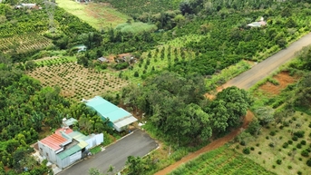 Dự án đường hơn 85 tỷ đồng dang dở sau gần 5 năm