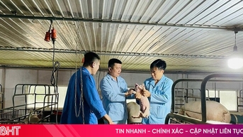 Loạt gói tín dụng hấp dẫn tiếp sức doanh nghiệp dịp cuối năm