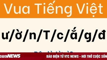 Chỉ 1% người giỏi ngôn ngữ mới tìm được lời giải