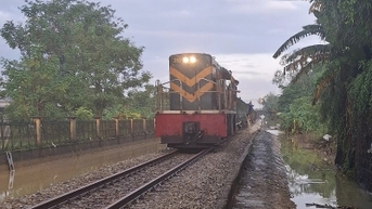 Đường sắt Bắc - Nam thông tuyến trở lại