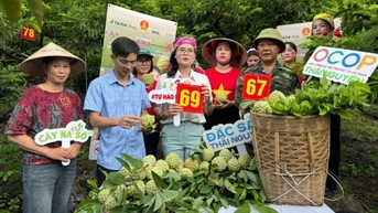 Nông sản vươn xa trên không gian thương mại điện tử