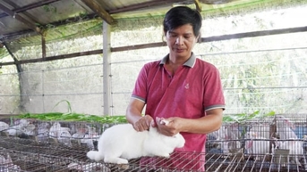Chăn nuôi thỏ khép kín ở An Nhơn Tây