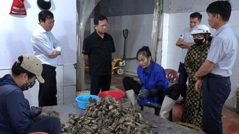 Nguy cơ ô nhiễm từ các cơ sở chế biến thủy sản tại Vân Đồn