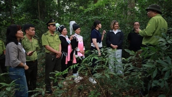 Lai Châu đặt nền móng phát triển tín chỉ carbon rừng