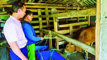 Lan tỏa sức mạnh tín dụng chính sách ở Hà Tĩnh