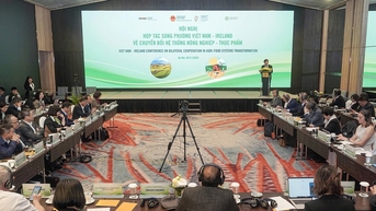 Việt Nam và Ireland hợp tác chuyển đổi hệ thống nông nghiệp - thực phẩm.