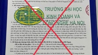Những giấc mơ bị đánh cắp