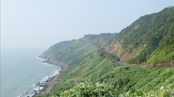 Đà Nẵng: Tiếp tục tạm dừng tham quan bán đảo Sơn Trà để đảm bảo an toàn