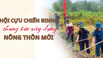 Hội Cựu chiến binh chung sức xây dựng nông thôn mới