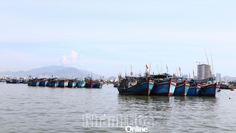 Bảo đảm điều kiện an toàn cho tàu, thuyền vào neo đậu, tránh trú bão Kalmaegi